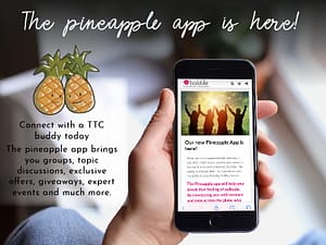 Pineapple-app-Banners-800x600-banners.jpg